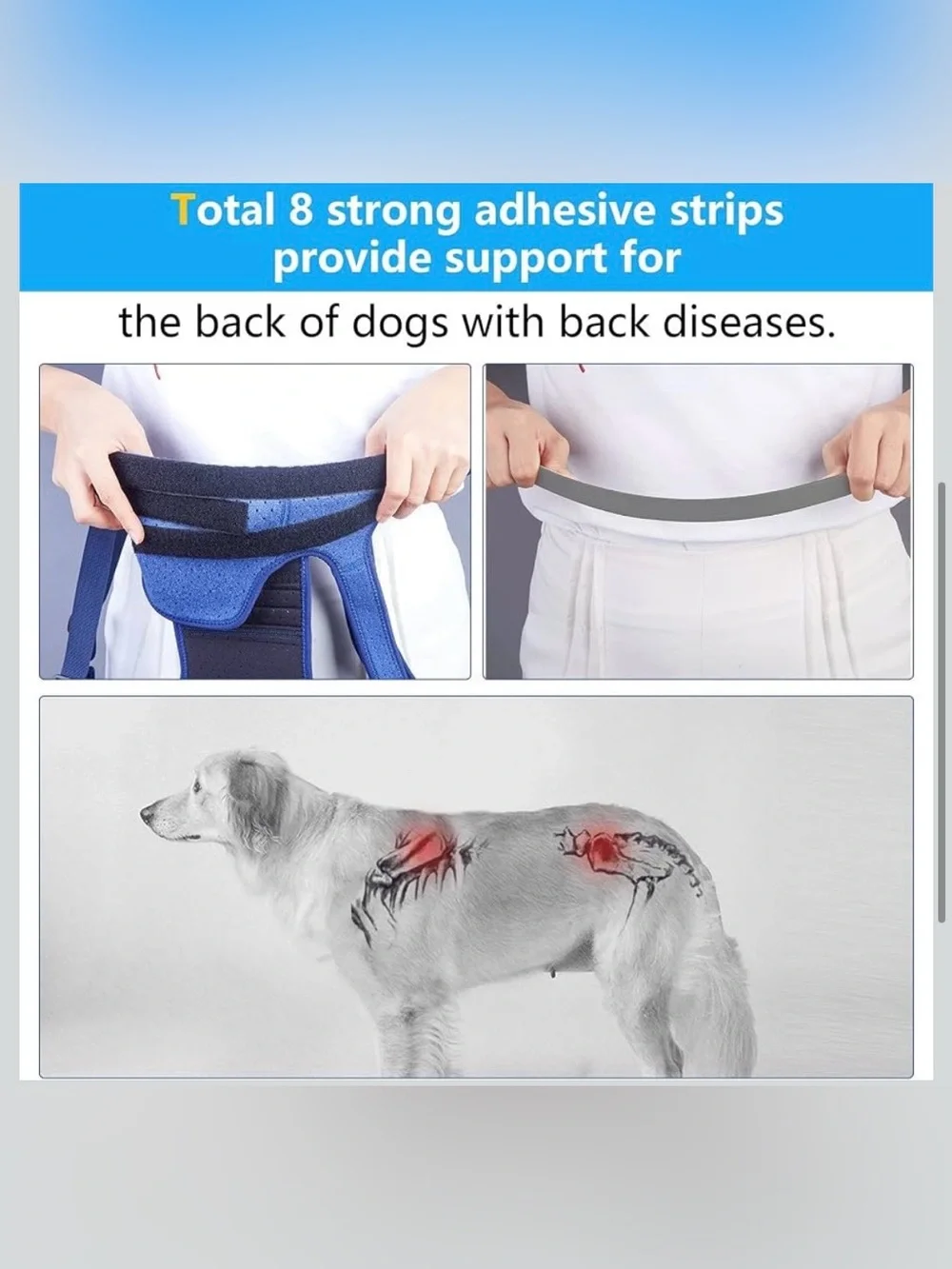 Dog Back Brace for  Arthritis, Pet Back Bracer for IVDD Back Protect 2188-1